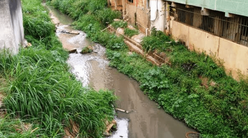 Censo 2022: Quase 700 Mil Lares Paraibanos sem Acesso à Rede de Esgoto, Revela IBGE