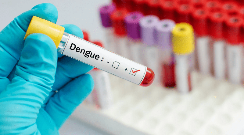 São Paulo Declara Estado de Emergência devido à Dengue