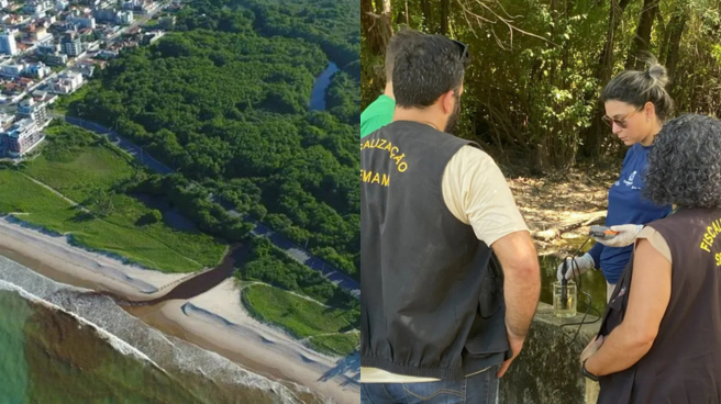 Fiscalização identifica imóveis irregulares, criação de gado e despejo de esgoto em mangue entre João Pessoa e Cabedelo