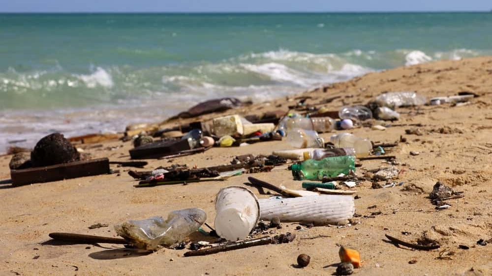 Praia do Segredo: Lixo Global Ameça no RN