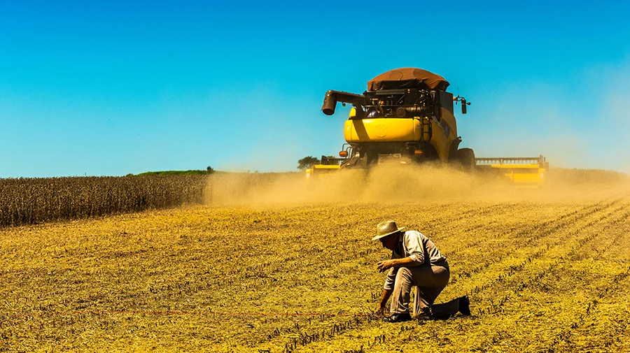 Acordo entre China e EUA ‘muda o jogo’ e movimenta o mercado global da soja