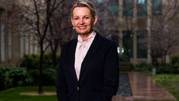 Sussan Ley Faz História como Primeira Mulher a Liderar o Partido Liberal da Austrália