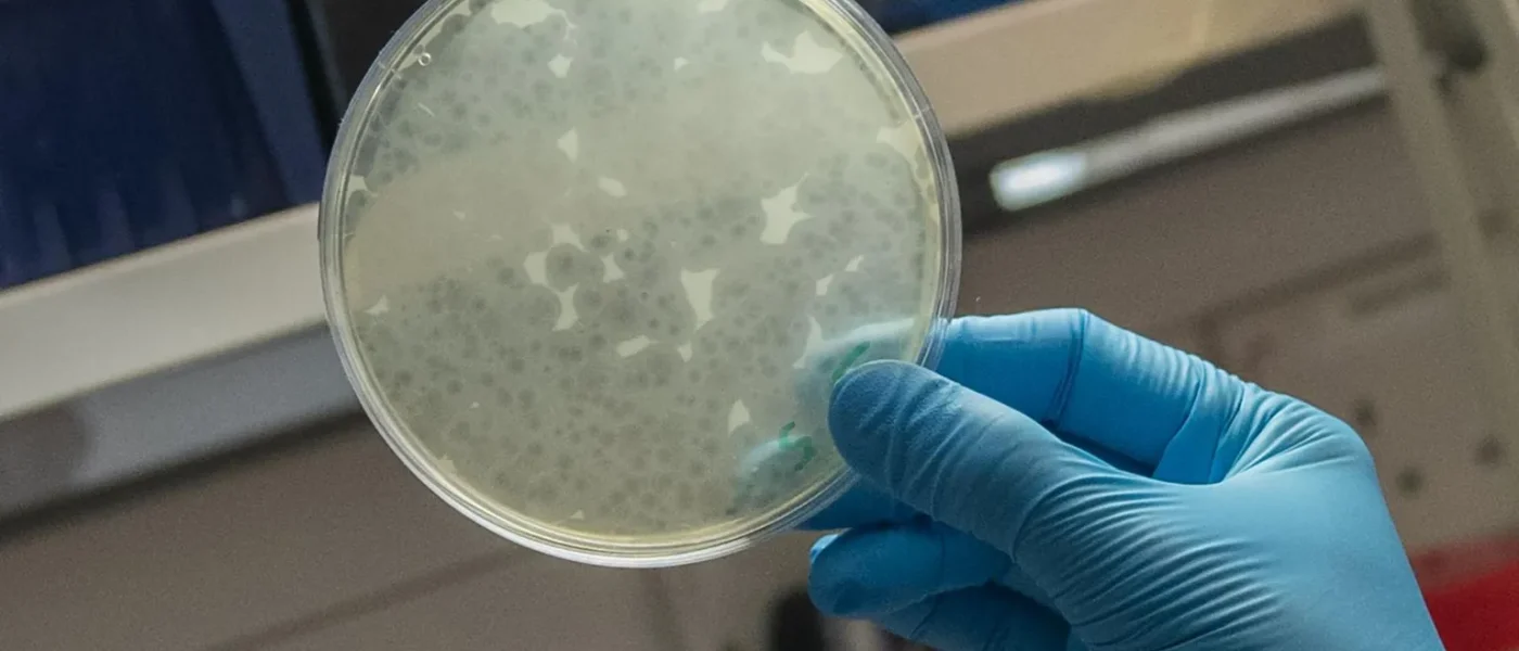 Vírus ‘do bem’: a caça ao inimigo das superbactérias no seu banheiro