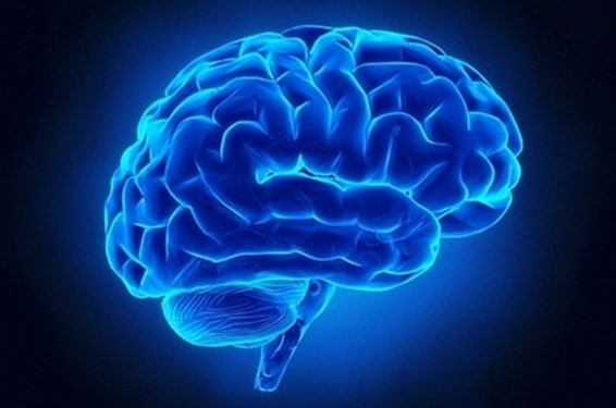 Podridão cerebral: IA e redes sociais podem estar acelerando o declínio cognitivo